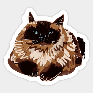 Sweet blue eyed Himalayan Cat Sticker